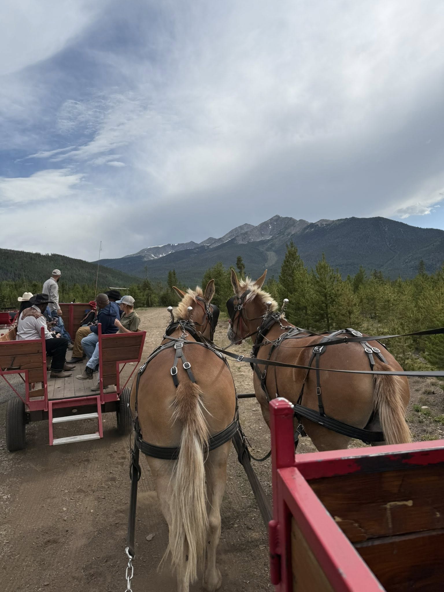 518275418_10234461475111274_4251817734083441955_n